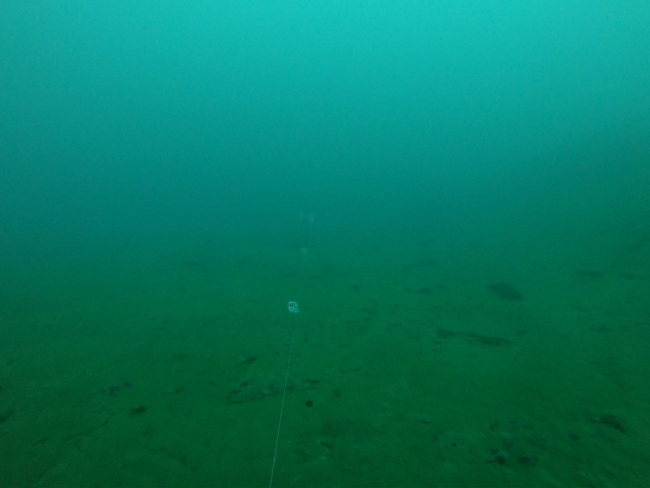 Project Baseline Murner See - Station Bravo Project Baseline Murner See - Station Bravo